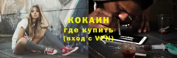 ГАЛЛЮЦИНОГЕННЫЕ ГРИБЫ Аркадак