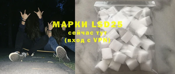 ГАЛЛЮЦИНОГЕННЫЕ ГРИБЫ Аркадак