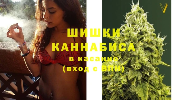 ГАЛЛЮЦИНОГЕННЫЕ ГРИБЫ Аркадак