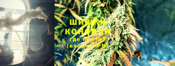 ГАЛЛЮЦИНОГЕННЫЕ ГРИБЫ Аркадак