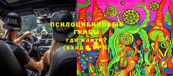 ГАЛЛЮЦИНОГЕННЫЕ ГРИБЫ Аркадак