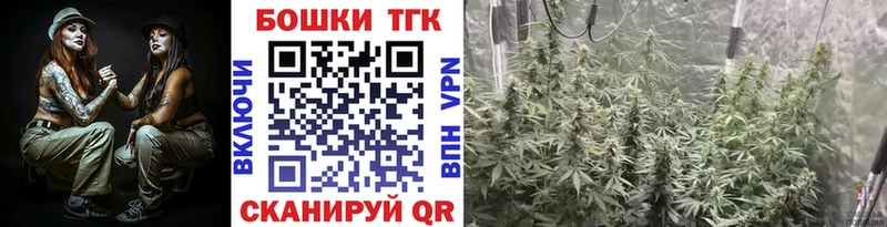 Бошки марихуана семена  наркотики  Правдинск 